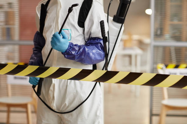 Professional Odor Removal technician working in Goldsmith, IN